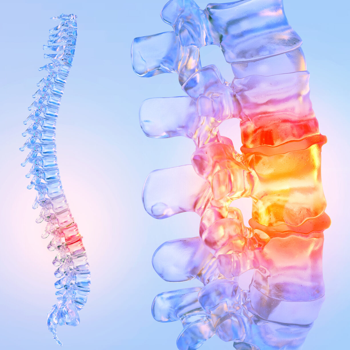 Human spine pain, 3D medical illustration. Anatomy of the vertebral column, lower back pain