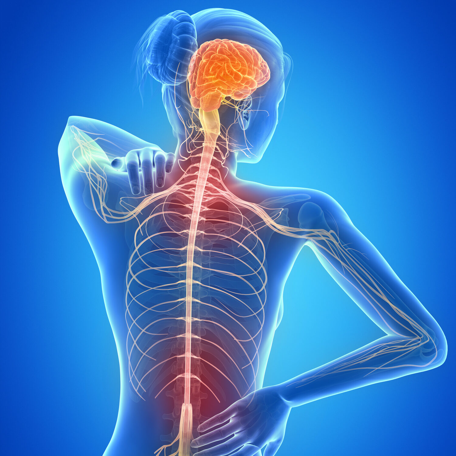 painful back nerves