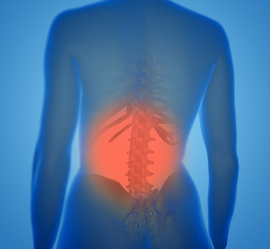 3d-rendering-of-human-female-lower-back-with-pain
