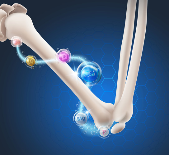 Concept-of-vitamins-for-bones-of-the-arms-and-elbows
