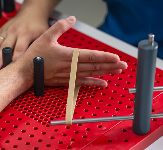 Development-of-movements-of-the-radial-wrist-joint