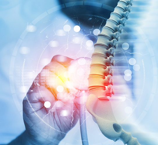 Doctor-checking-and-diagnose-the-human-spine-concept