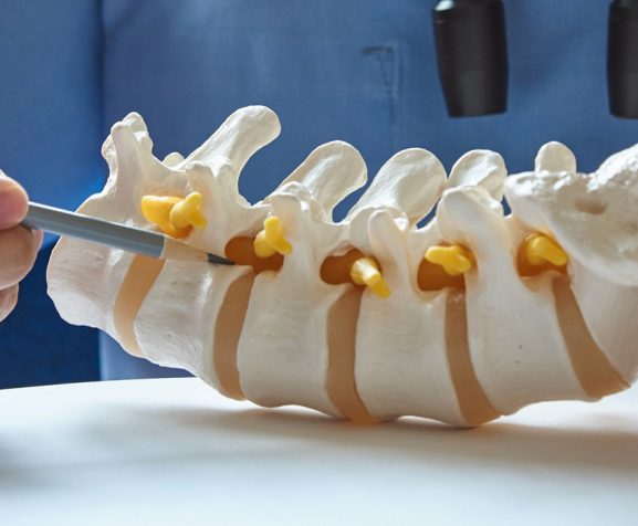 A-neurosurgeon-pointing-at-lumbar-vertebra-model