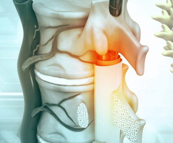 Human-spine-anatomy.-3d-illustration